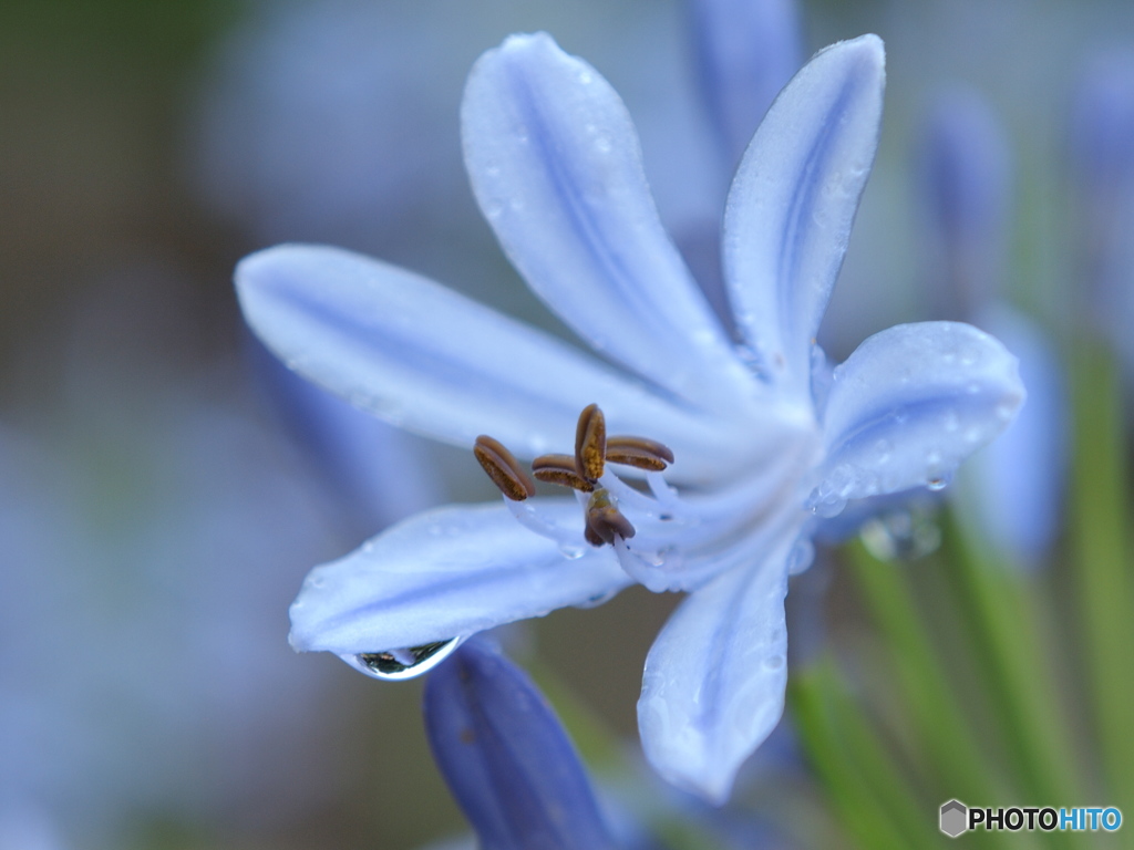 しっとりと・・・