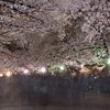 夜桜の賑わい
