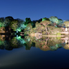 春夜の大名庭園2