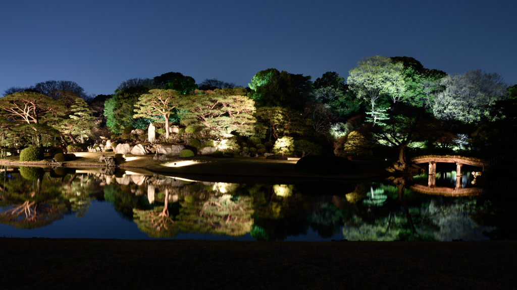 春夜の大名庭園１