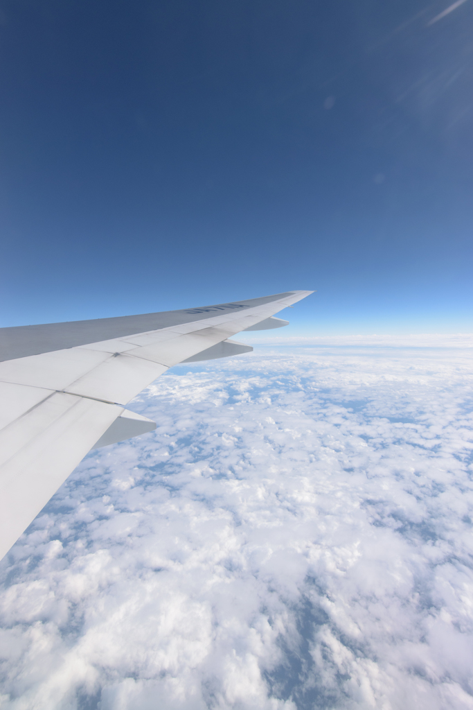 大空を飛ぶ翼