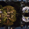 春夜の大名庭園3