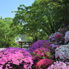 DSD_3617_00001