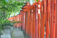 DSC_8750-2