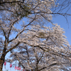 塩田耕地堤