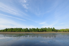 水元公園
