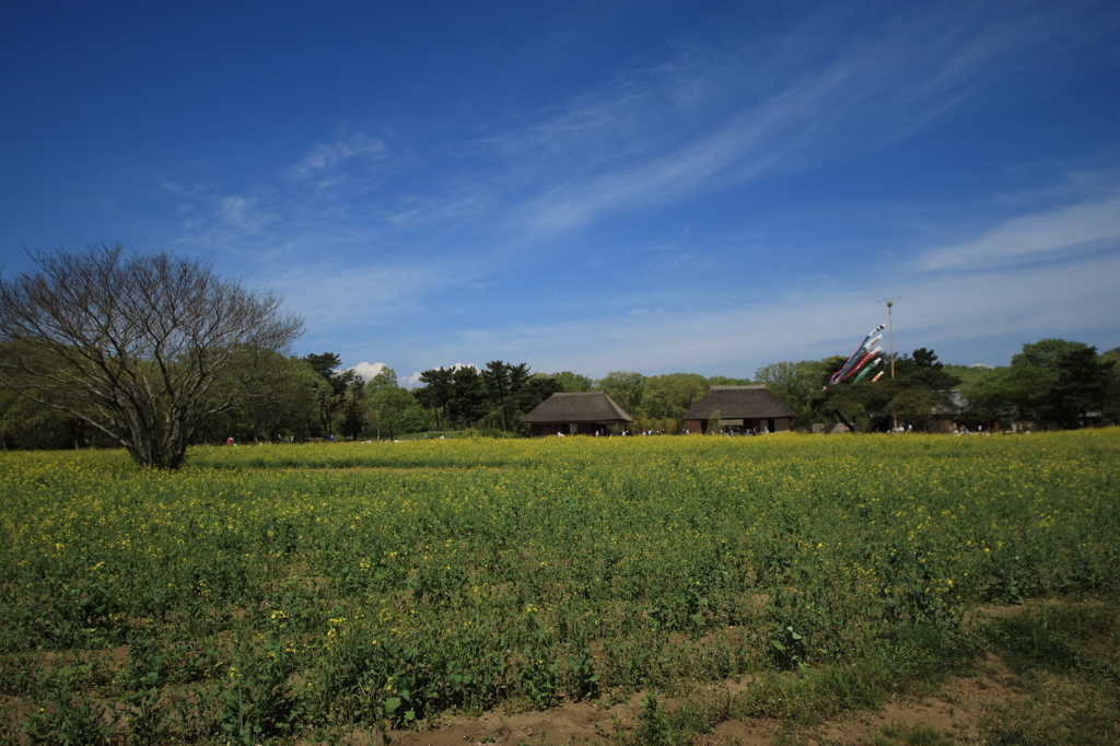 のどかな風景