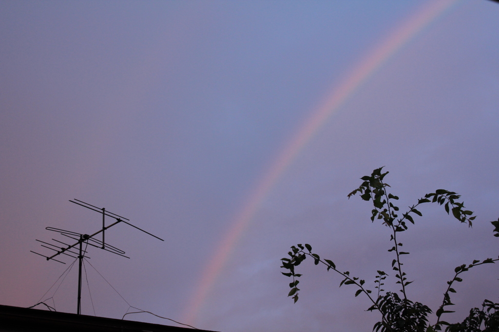窓から見えた虹