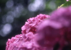 File0018