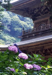File0001