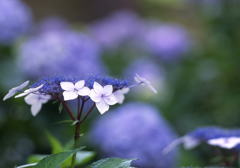 File0004