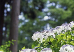 File0013