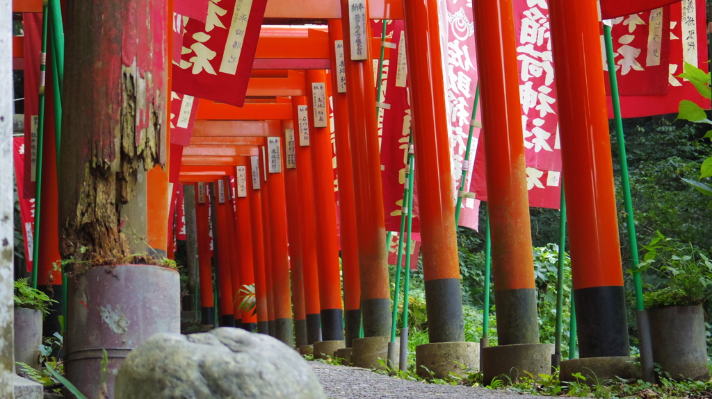 鎌倉・佐助稲荷