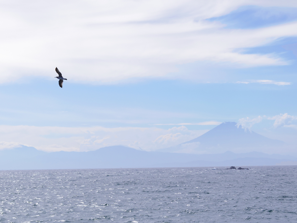 相模湾と富士山