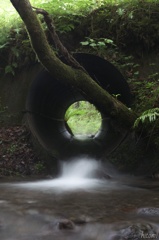 雨の樽前