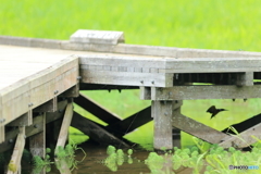 この影がお気に入り＾＾