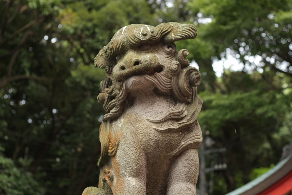 江の島神社の門番さん＾＾