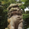 江の島神社の門番さん＾＾