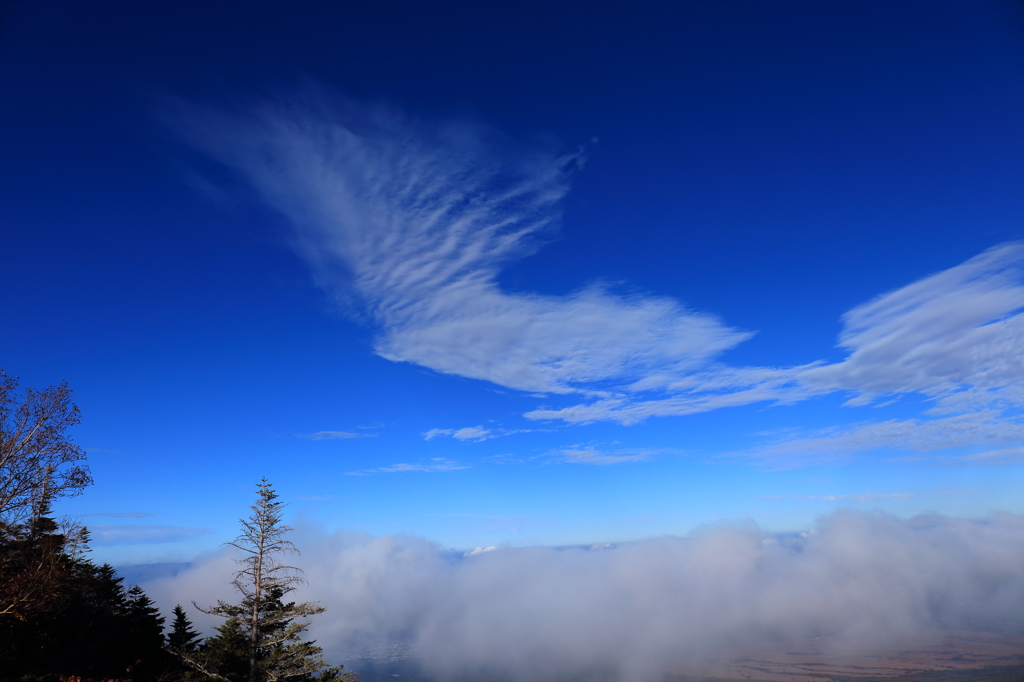 空と羽っぽい雲＾＾