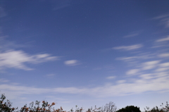 月夜の晩に地元で星を撮ってみた・・・・・＞＜。