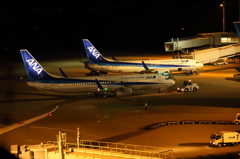 夜空港　ANA×2