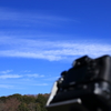 かわせみさんはいずこ・・・・