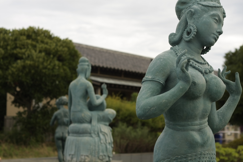 江の島の公園にて