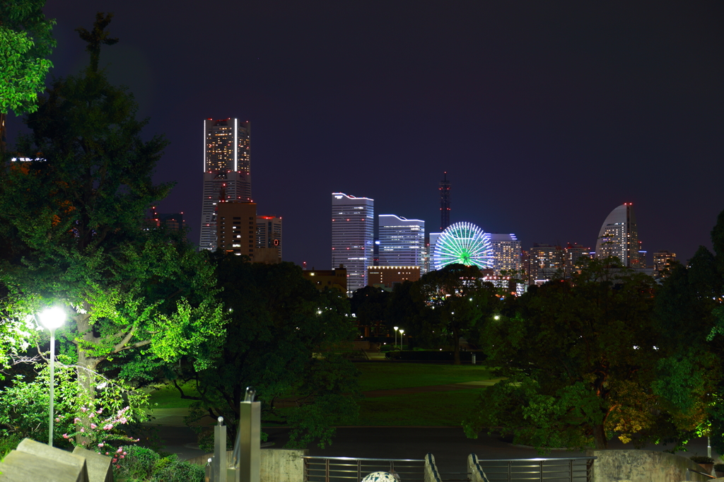 空とビルと森・・・時々街灯