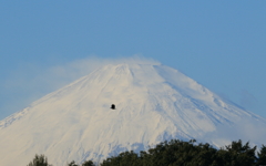 富士山＾＾　カラスくん付