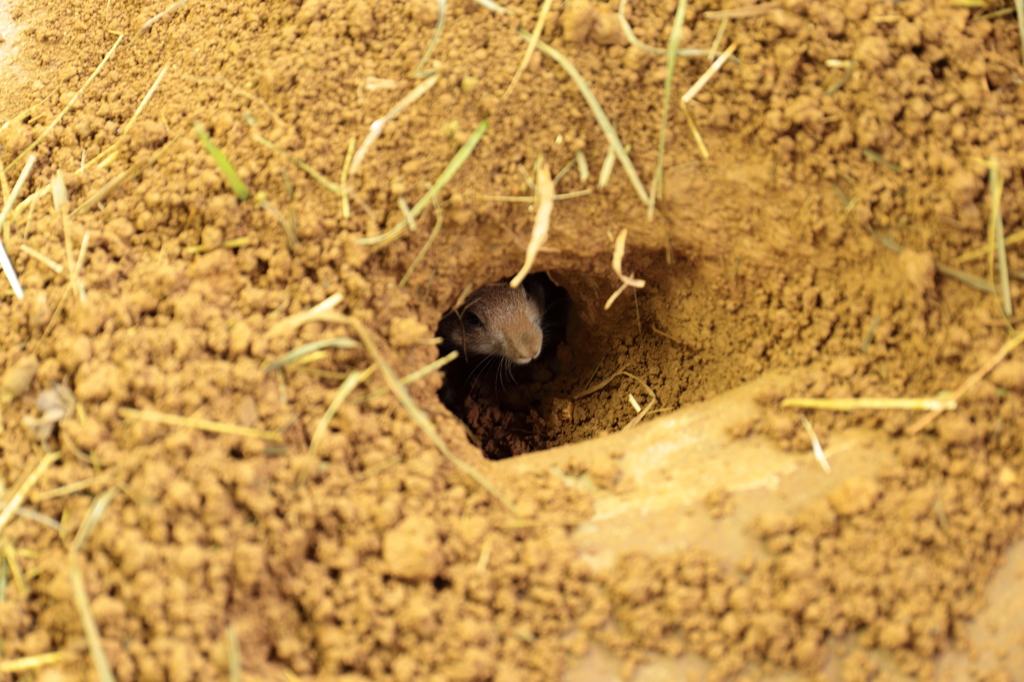 呼んだ？？？？