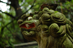 こんぴらさん