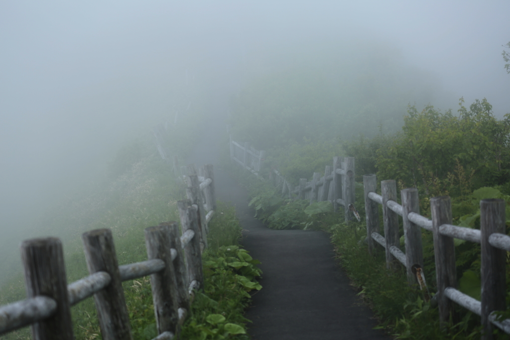 霧の摩周湖