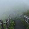 霧の摩周湖