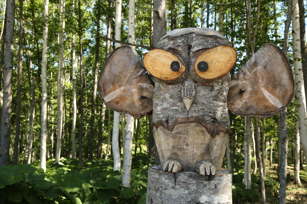 占冠星野リゾート Ⅳ