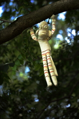 森で見つけた妖精達Ⅰ