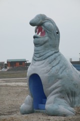 アザラシ？