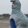 アザラシ？