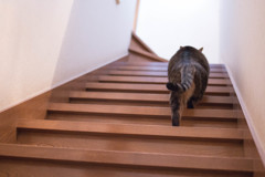よっこいしょ