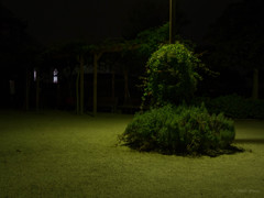 夜・陰影