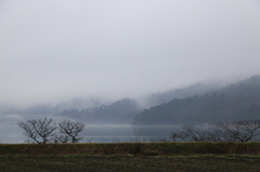 雨の余呉湖