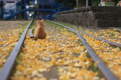 次の遊びを考える2秒間