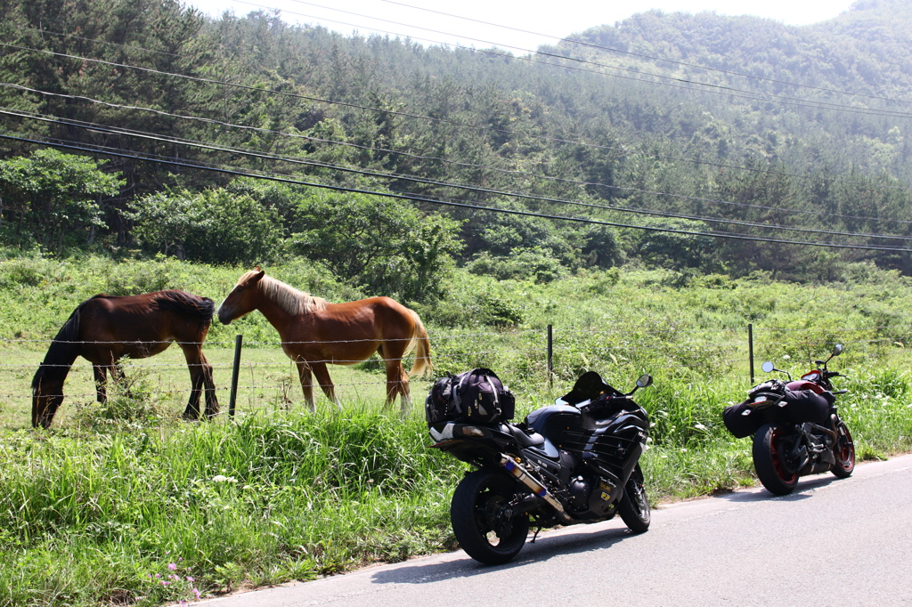 寒立馬と鉄馬