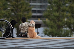 言葉は無くても