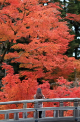 勝運の寺・勝尾寺①