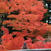 勝運の寺・勝尾寺①