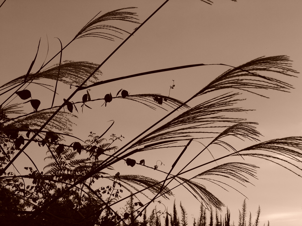 20090919_172805