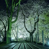 20150417_215028