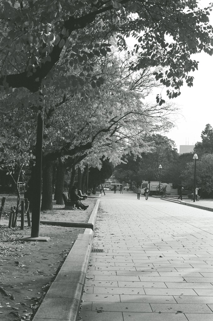 平和公園