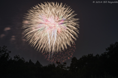 20141011-_DSC2200