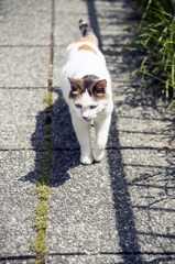 おねだりさん